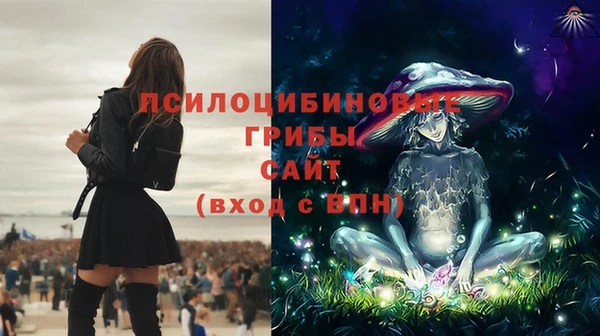 Альфа ПВП Алексеевка
