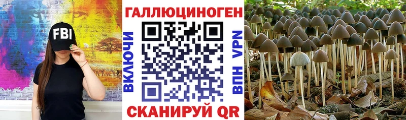 Галлюциногенные грибы ЛСД  Купить где  Ахтубинск 